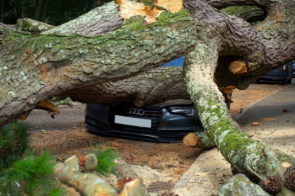 climate insurance scheme